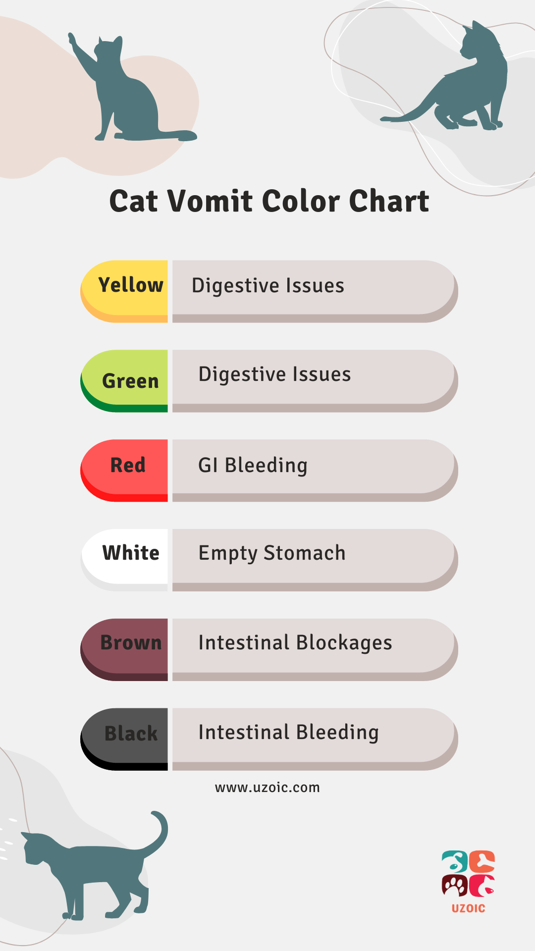 Cat Vomit Color Chart What Each Color Means uzoic