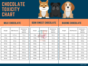 My Dog Ate Ferrero Rocher - uzoic - Milk Chocolate Toxicity And Dog Behavior