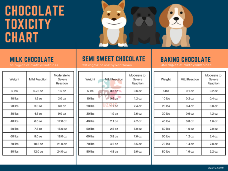My Dog Ate Ferrero Rocher - uzoic